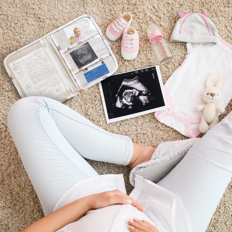 Maternity Log Protective Cover for Optimal Protection Maternity Log Case