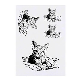 4 x 'Rex Cat on Blanket' Temporary Tattoos - Water Resistant, Skin-Safe, Non-Toxic Transfers, Mixed Sizes (TO00071346)