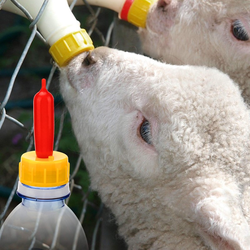 PAGOW 10PCS Nipple for Goats, Small Animal Milk Drink Nipple,