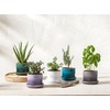 Le Creuset Stoneware Herb Planter, 5.5 Inches, Deep Teal