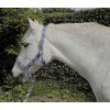 Rhinegold Unisex's Carnival Headcollar & Rope, Blue Check, Full