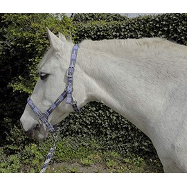 Rhinegold Unisex's Carnival Headcollar & Rope, Blue Check, Full