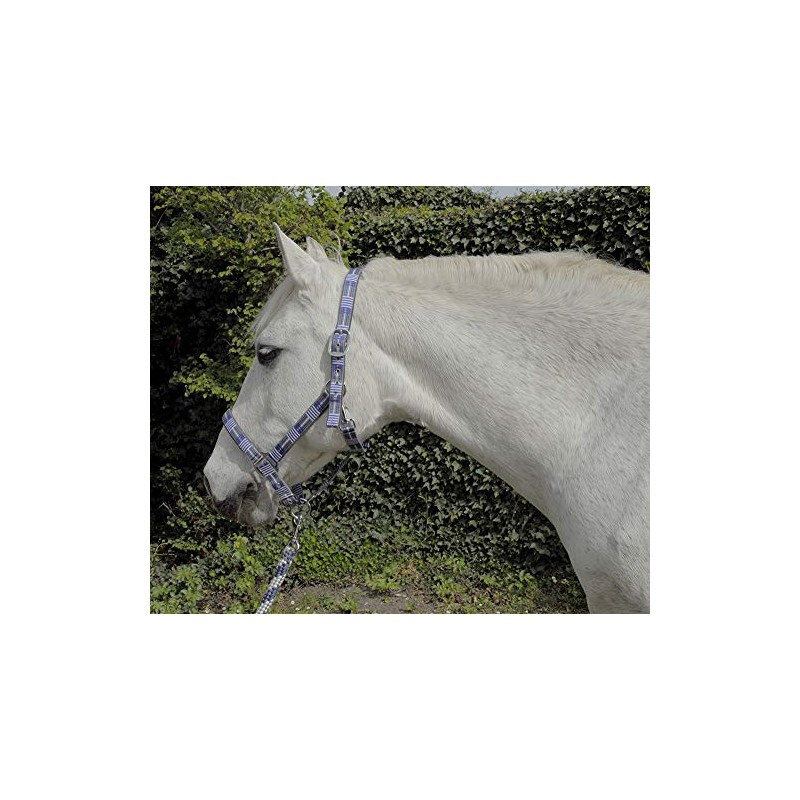 Rhinegold Unisex's Carnival Headcollar & Rope, Blue Check, Full