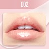 Maybelline Lifter Shine 002 Gloss Splamper Lip Lipstick Gloss