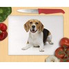 Glass Chopping Board 20 x 28 x 0.4 cm Beagle