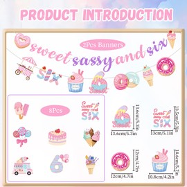 Yoyuspy Sweet Sassy Six Birthday Decorations, 10PCS 6th Bday Banner with Hanging Swirls Decorations for Girls 6 Years Old Decor