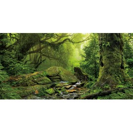 MIRRORANG 61x30cm Tropical Forest Terrarium Background Stream Green Huge Tree Reptile Habitat Background Foggy Rainforest Aquarium Background Vinyl