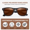 Hiking Vision Classic Polarized Sunglasses Mens & Womens, Lightweight UV400