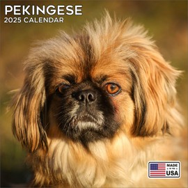 2025 Pekingese Calendar - Dog Breed Wall Calendar - 12 x 24 Open - Thick No-Bleed Paper - 14 Month Planner Calendar Organizing & Planning