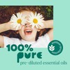 Plant Therapy Essential Oil Roll-On Blend - Itch Away, 10ml