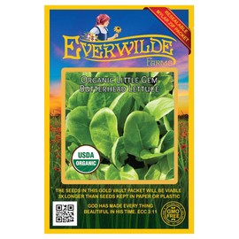 Everwilde Farms - 500 Organic Little Gem Butterhead Lettuce Seeds - Gold Vault Packet