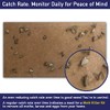 Moth Trap Replacement Strips - 6 Odor-Free Refills for Clothing