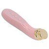 Facial Beauty Massager Hot Compress Vibration EMS Microcurrent Skin Tightening