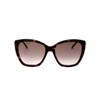 Jimmy Choo ROSE/S 086 HAVANA 55/18/140 Women's Sunglasses