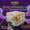 Spore Sorcery Small Beginners Mushroom Grow Kit | Indoor Grow