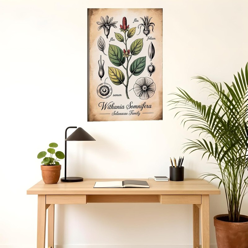 Placa botánica de Ashwagandha – Withania Somnifera 30x45 cm, impresión