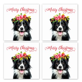 Border Collie Christmas Card - Pack of 4 Cards Same Design - Sheep Dog Xmas