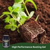 Clonex Rooting Gel - High-Performance Rooting Compound for Plant Cuttings,