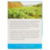 (Pack Of 8) - Organic Artichoke Tea - R |