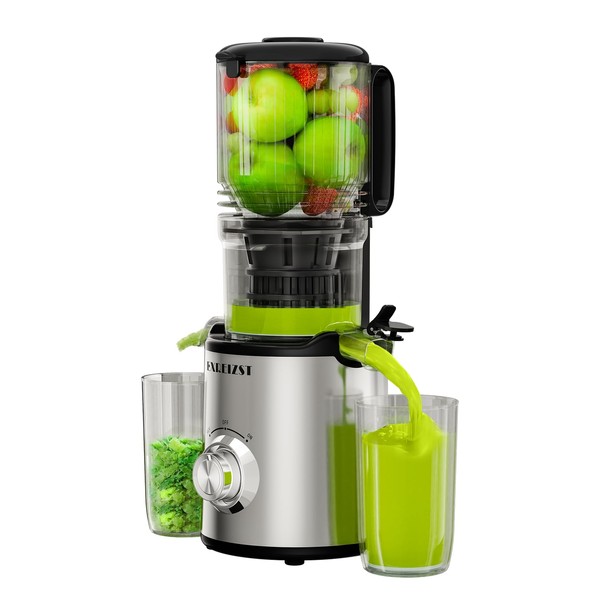 Juicer Machines, Cold Press Juicer with 5.3'' Large Feed Chute,