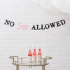 Weddingstar Paper Bachelorette Party Banner - No Boys Allowed