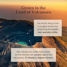 Bean of Fire El Salvador Red Bourbon Honey Ground Coffee – Medium Roast, Single Origin Specialty, Smooth & Fruity Cup (16 oz)