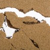 AntHouse Natural Sand Ant Farm Acrylic T Kit 15 x
