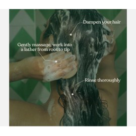 Tea Tree 2X The Body Shop Tea Tree Purifying & Balancing Shampoo 250ML