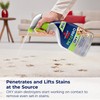 Bissell PET PRO OXY Stain Destroyer for Carpet and Upholstery,