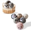 YWXWY Wool Dryer Balls, Cute Pattern Drying Balls for Laundry,
