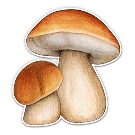 Porcini Mushrooms King Bolete - 3" Vinyl Sticker - for Car Laptop Water Bottle Phone - Waterproof Decal