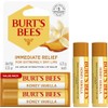 Burt’s Bees Honey Vanilla 24-Hour Hydrating Lip Balm, Value Pack,