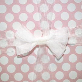 Morex Ribbon 91803/100-601 Organdy Nylon Ribbon, 5/8-Inch by 100-Yard, White