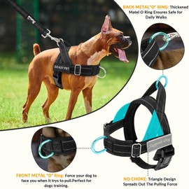 AUTOWT No Pull Dog Harness and Leash Set, No Choke Escapeproof Neck & Chest Adjustable Reflective Dog Vest Harness, 5.9 Ft Dog Leash Anti-Twist Pet Lead Soft Padded for Large Medium Dog(Black, S)