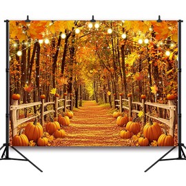 DULUDA 8x6 FT Fall Backdrop Autumn Maple Leaf Path Pumpkin Photo Shooting Background Natural Autumn Thanksgiving Party Decoration Adult Portrait Baby Shower Banner Supplies Photo Booth Prop
