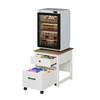 Rresyet Mini Fridge Stand with Movable Drawer, Heavy Duty Fridge