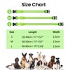 Hundehalsband Leuchtend Aufladbar, Leuchthalsband Hund 7 RGB Farbwechsel mit 8