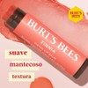 Burt's Bees Tinted Lip Balm, Zinnia, 1 Pack