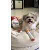 Nocciola 3 Packs Squeaky Puff Stick Toys with a Box,