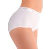 Ilusión Panty Dama Modelo 31342 Bikini para Mujer, color UNICO,