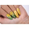 NAIL FACTORY - POWGEL Collection, Set de 6 Polvos Acrílicos