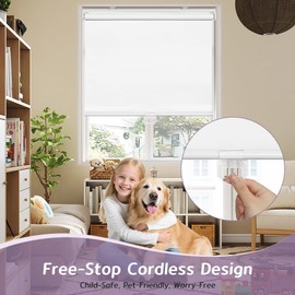 SEEYE Cordless Roller Shades for Windows, 100% Blackout Window Blinds for Privacy & UV Protection, Pull Down Room Darkening Door Blinds, Easy to Install for Home and Office (24" W x 72" H, White)