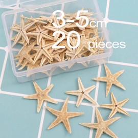 20 Pcs Natural Starfish Mixed,Finger Starfish Natural Colorful Seashell Starfish Perfect for Beach Party,Table scatters,Home Decor,DIY Crafts,Bathroom,Fish Tank Decorations