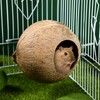 Coconut Shell Birds Nest- Natural Coconut Shell Bird Nest Keep