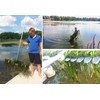 WeedRipper Aquatic Weed Puller for Lake & Pond Sea Weed
