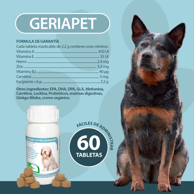 Ruiland Geriapet Suplemento Especializado Para Perros Mayores 60 Tabletas