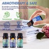 Wecona Essential Oils for Laundry - 100% Pure Essential Oils