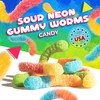Sour Neon Gummy Worms | 1 Pound Bag | Assorted