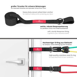 Resistance Band Set with Training Guide, Expander Tubes, Fitness Bands, Resistance Band Set: 5 Resistance Bands, Handles, Door Anchor, Foot Straps, Fitness Band