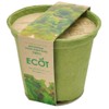 Ecot Planting Kit and Pot